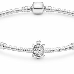 New Silver Sea Turtle Charm